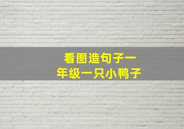 看图造句子一年级一只小鸭子