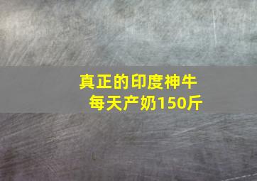 真正的印度神牛每天产奶150斤