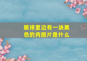 眼球里边有一块黑色的肉图片是什么