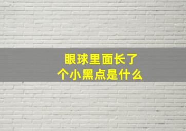 眼球里面长了个小黑点是什么