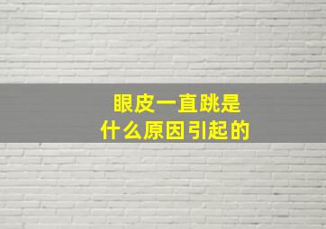 眼皮一直跳是什么原因引起的