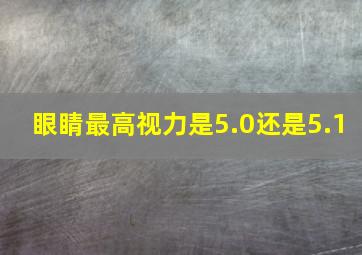 眼睛最高视力是5.0还是5.1