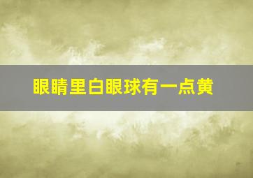 眼睛里白眼球有一点黄