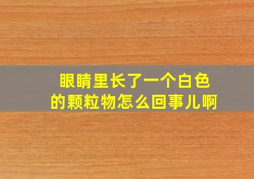 眼睛里长了一个白色的颗粒物怎么回事儿啊