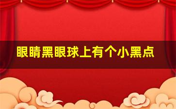 眼睛黑眼球上有个小黑点