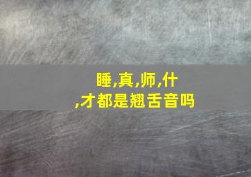 睡,真,师,什,才都是翘舌音吗