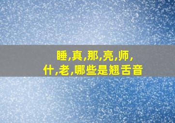 睡,真,那,亮,师,什,老,哪些是翘舌音