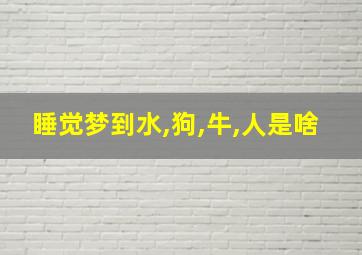 睡觉梦到水,狗,牛,人是啥