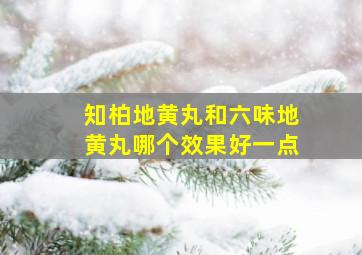 知柏地黄丸和六味地黄丸哪个效果好一点