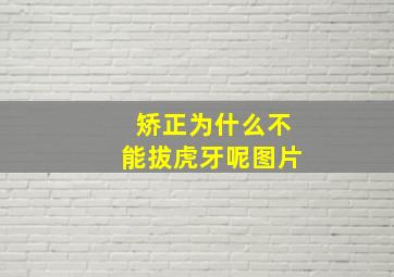 矫正为什么不能拔虎牙呢图片