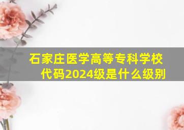 石家庄医学高等专科学校代码2024级是什么级别