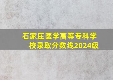 石家庄医学高等专科学校录取分数线2024级