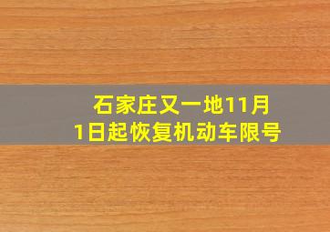 石家庄又一地11月1日起恢复机动车限号