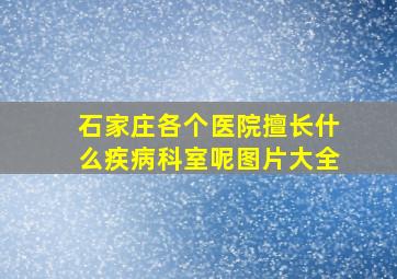 石家庄各个医院擅长什么疾病科室呢图片大全