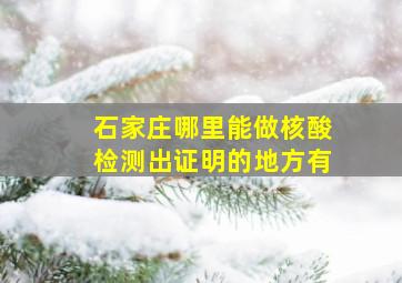 石家庄哪里能做核酸检测出证明的地方有