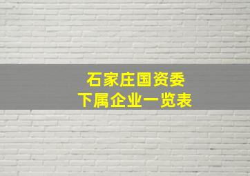 石家庄国资委下属企业一览表