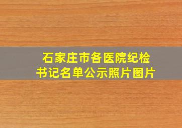 石家庄市各医院纪检书记名单公示照片图片