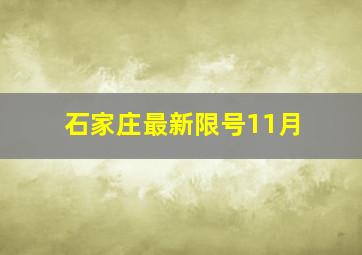 石家庄最新限号11月