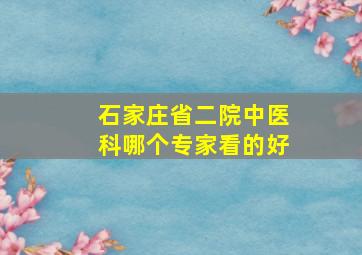 石家庄省二院中医科哪个专家看的好