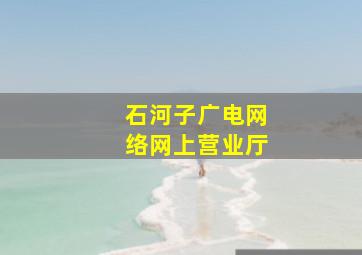 石河子广电网络网上营业厅