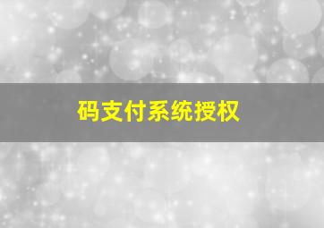 码支付系统授权