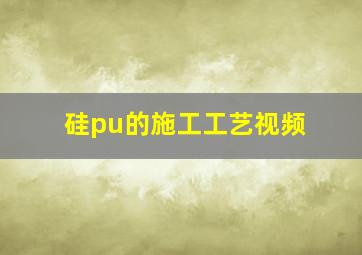 硅pu的施工工艺视频