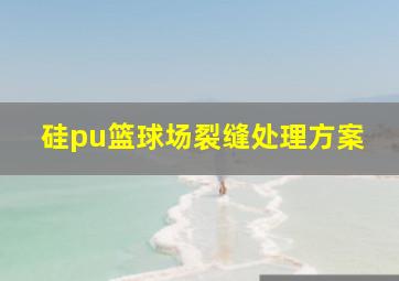 硅pu篮球场裂缝处理方案