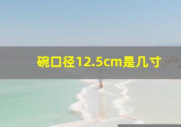 碗口径12.5cm是几寸