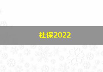 社保2022