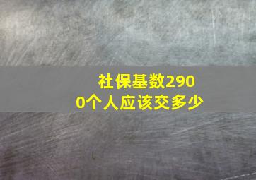 社保基数2900个人应该交多少