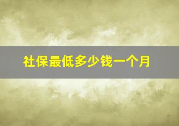 社保最低多少钱一个月