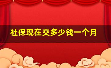 社保现在交多少钱一个月