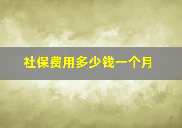 社保费用多少钱一个月