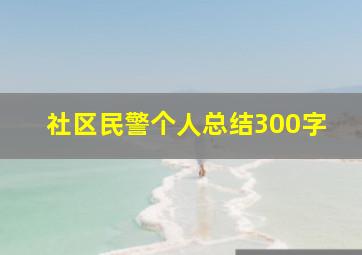 社区民警个人总结300字