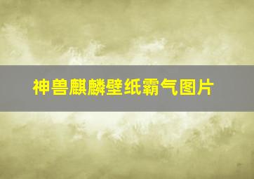 神兽麒麟壁纸霸气图片