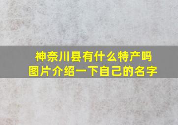 神奈川县有什么特产吗图片介绍一下自己的名字