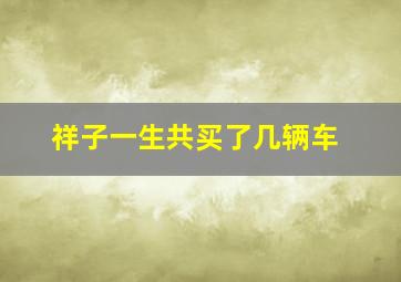 祥子一生共买了几辆车