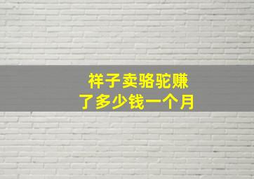 祥子卖骆驼赚了多少钱一个月