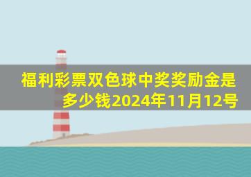 福利彩票双色球中奖奖励金是多少钱2024年11月12号