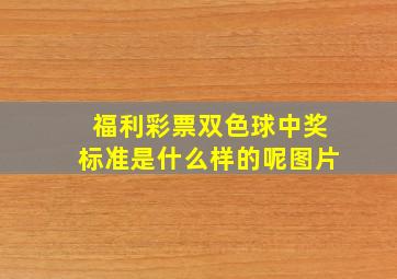 福利彩票双色球中奖标准是什么样的呢图片