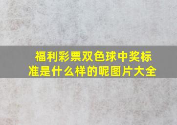 福利彩票双色球中奖标准是什么样的呢图片大全