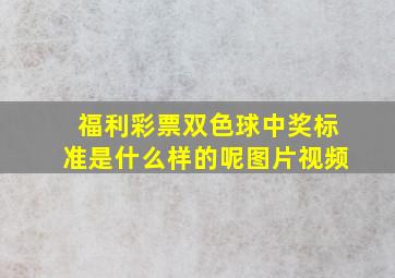 福利彩票双色球中奖标准是什么样的呢图片视频