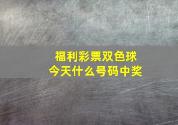 福利彩票双色球今天什么号码中奖