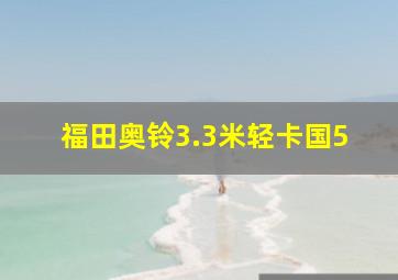 福田奥铃3.3米轻卡国5