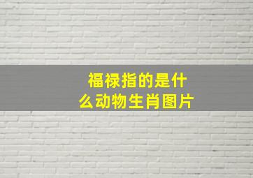 福禄指的是什么动物生肖图片