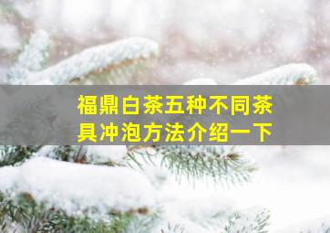 福鼎白茶五种不同茶具冲泡方法介绍一下