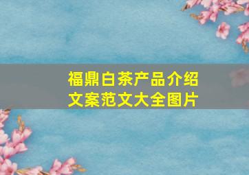 福鼎白茶产品介绍文案范文大全图片