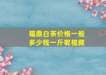 福鼎白茶价格一般多少钱一斤呢视频