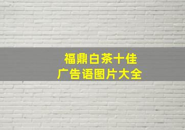 福鼎白茶十佳广告语图片大全