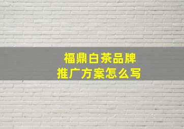 福鼎白茶品牌推广方案怎么写